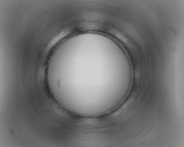 X0000114241309200910231516