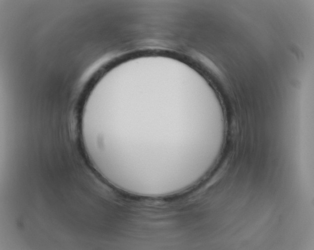 X0000114241310200910231516