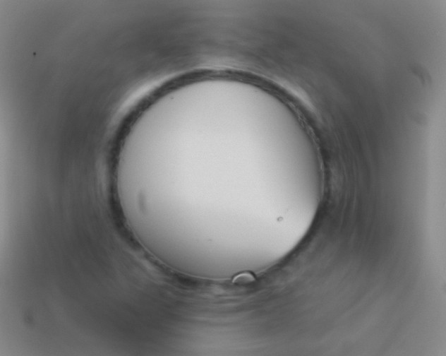 X0000114241311200910231516