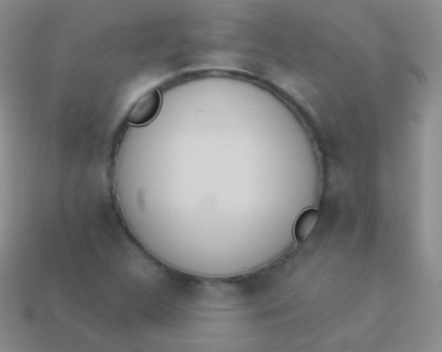 X0000114241312200910231516