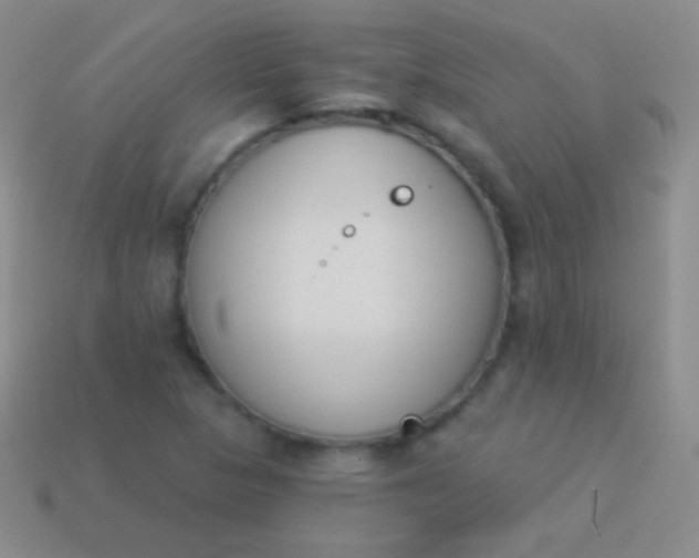 X0000114241313200910231516
