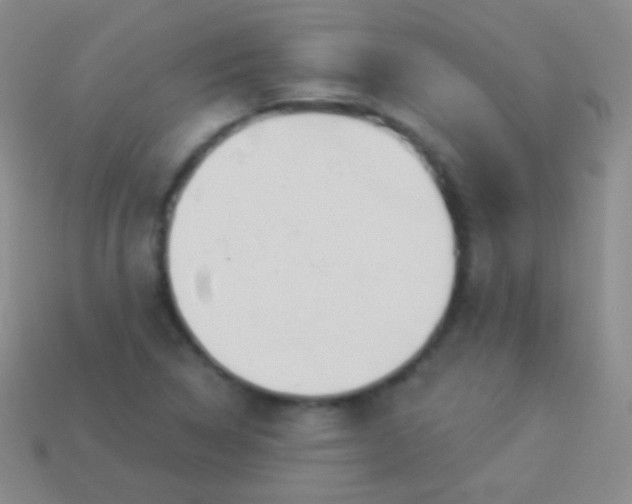 X0000114241314200910231516