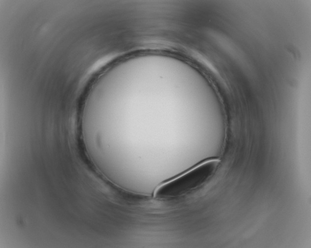 X0000114241315200910231516
