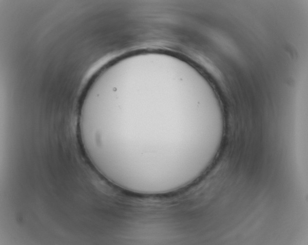 X0000114241316200910231516