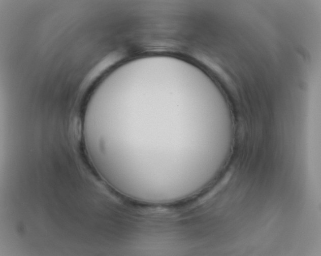X0000114241317200910231516