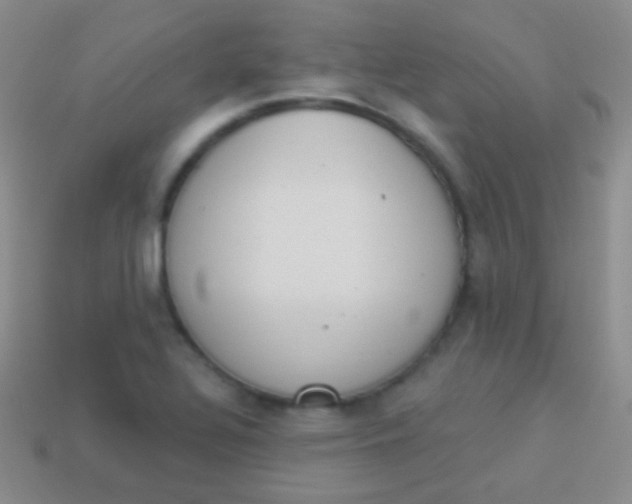 X0000114241320200910231516