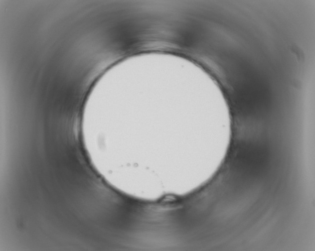 X0000114241322200910231516