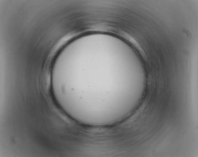 X0000114241323200910231516