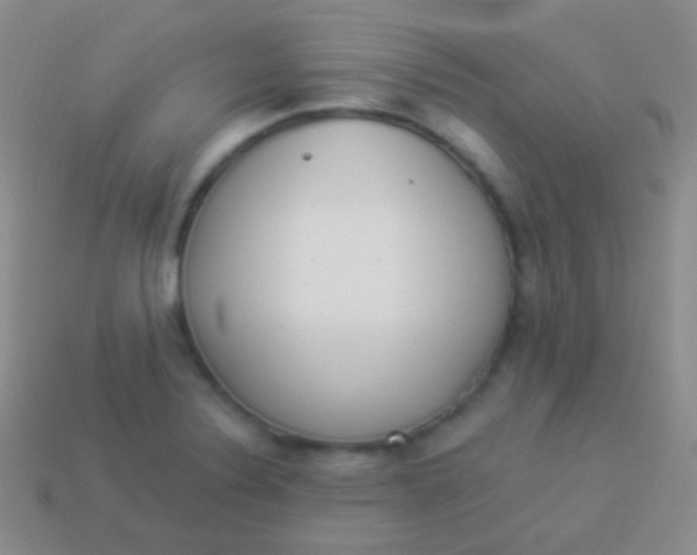 X0000114241324200910231516