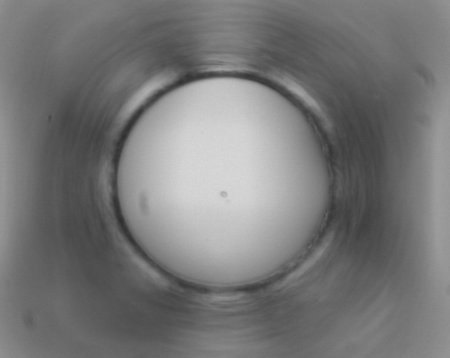 X0000114241325200910231516