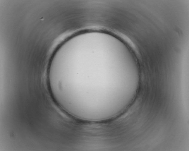 X0000114241327200910231516