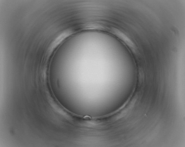 X0000114241330200910231516