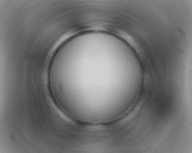 X0000114241331200910231516