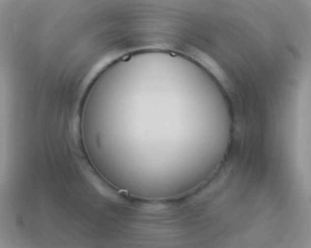 X0000114241332200910231516