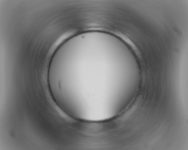 X0000114241333200910231516
