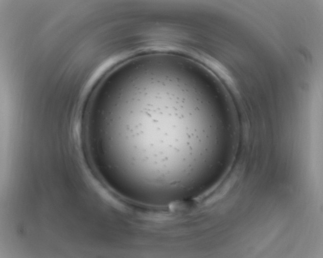 X0000114241334200910231516