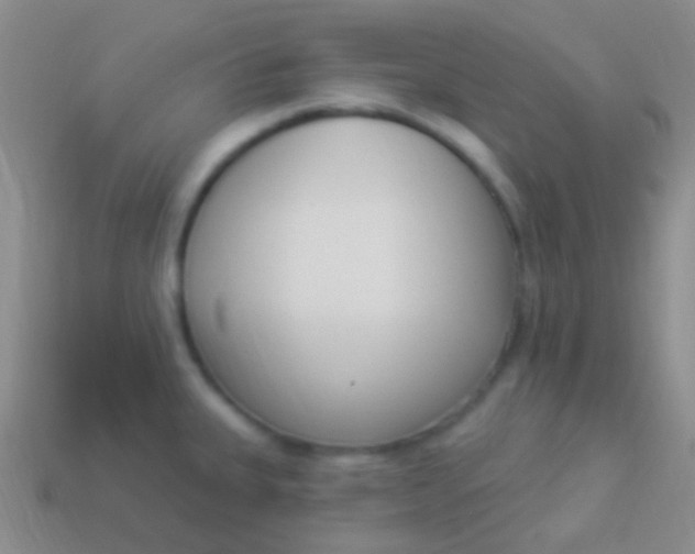 X0000114241335200910231516