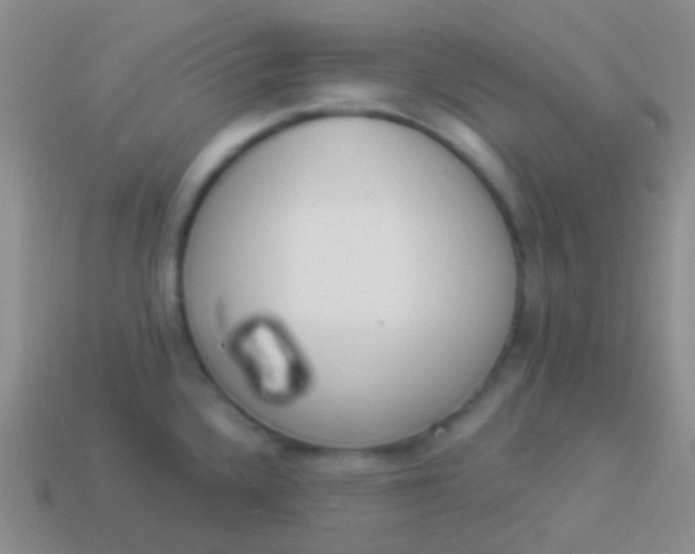 X0000114241336200910231516