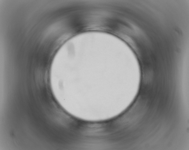 X0000114241338200910231516
