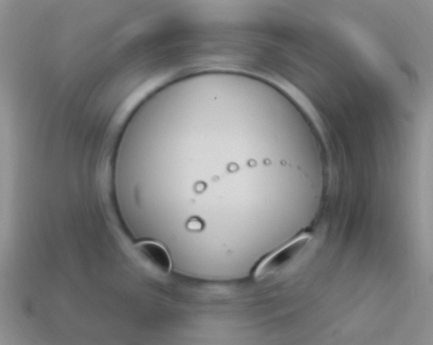 X0000114241341200910231516