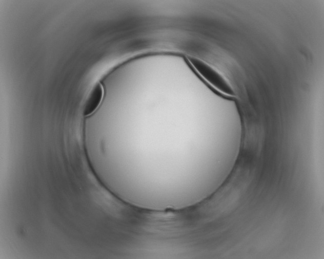 X0000114241342200910231516