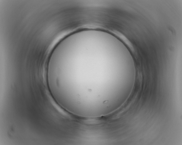 X0000114241343200910231516