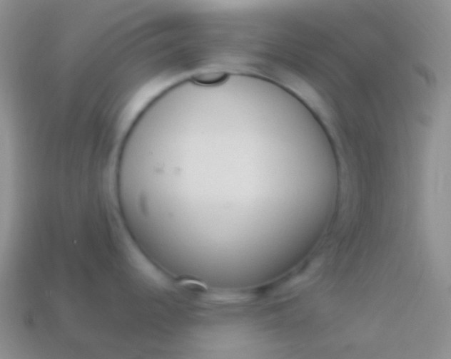 X0000114241344200910231516