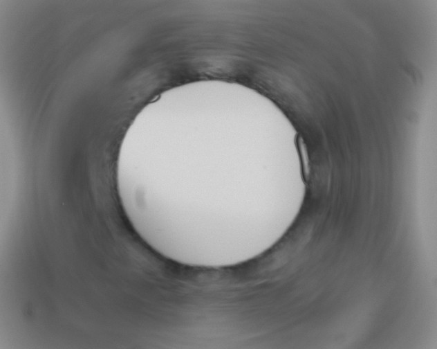 X0000114241345200910231516