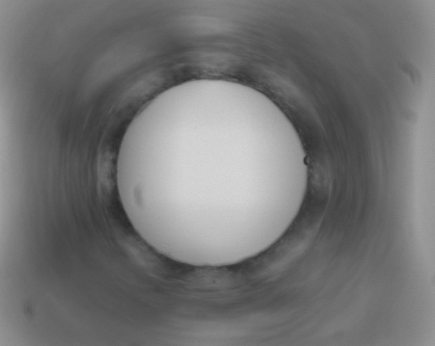 X0000114241346200910231516