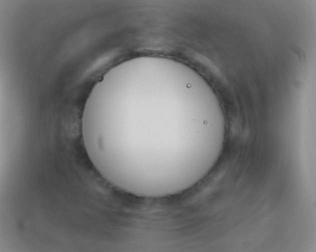 X0000114241350200910231516
