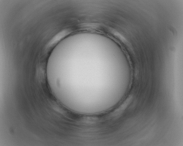 X0000114241354200910231516