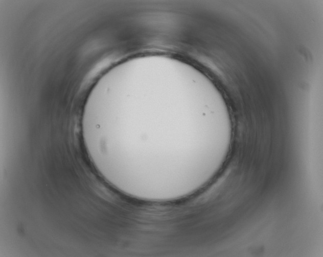 X0000114241355200910231516
