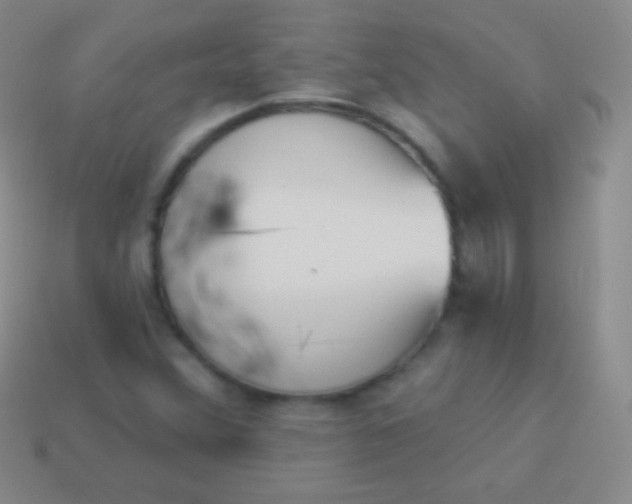 X0000114241356200910231516