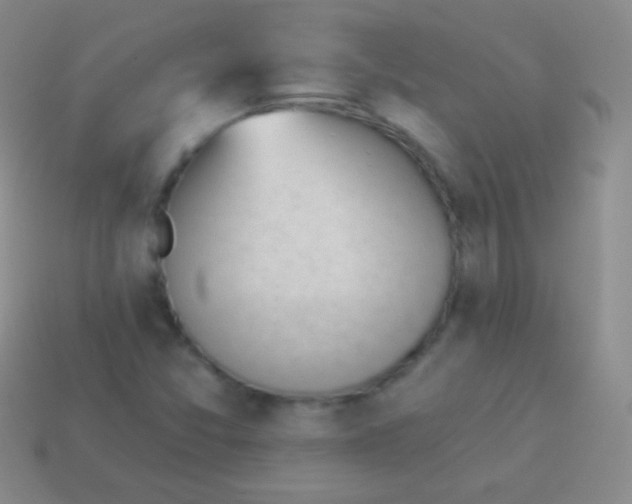 X0000114241357200910231515