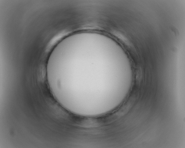 X0000114241358200910231515