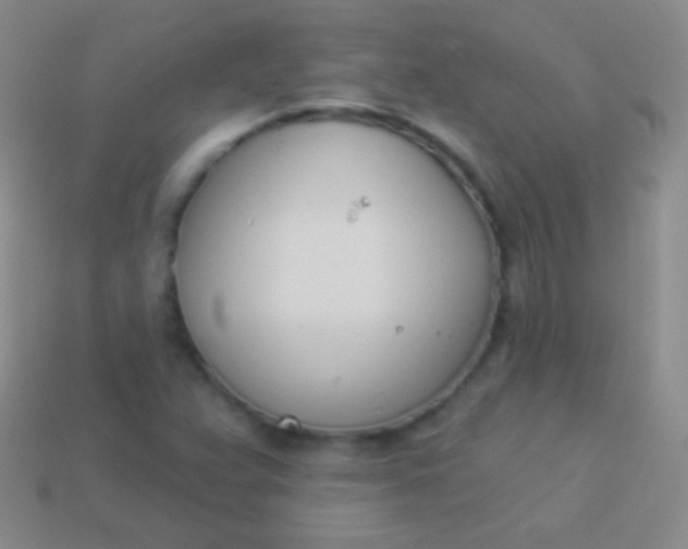 X0000114241359200910231515