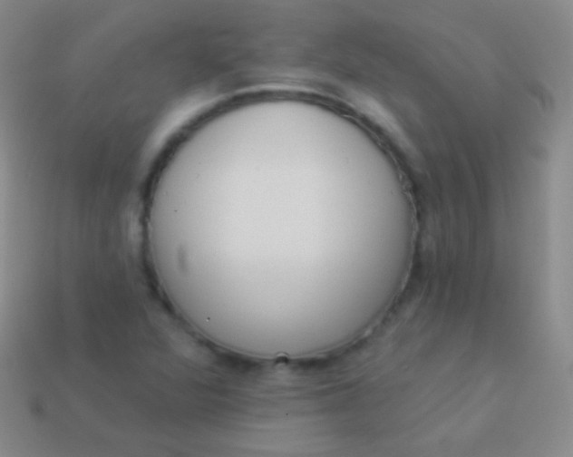 X0000114241360200910231515