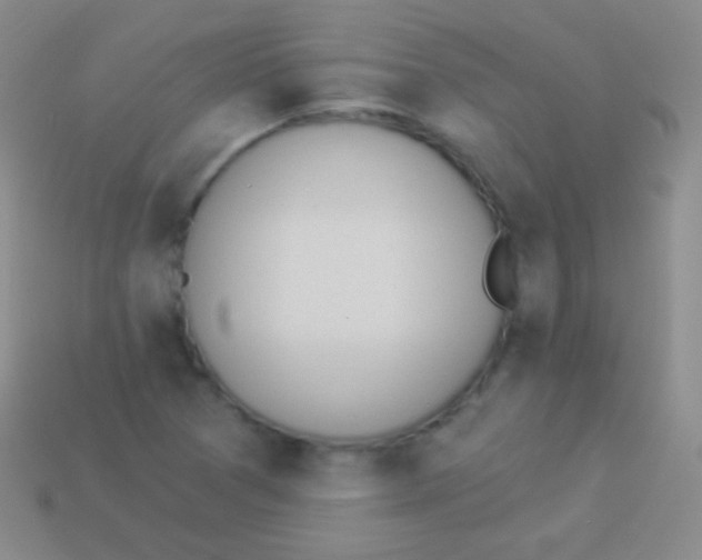 X0000114241361200910231515