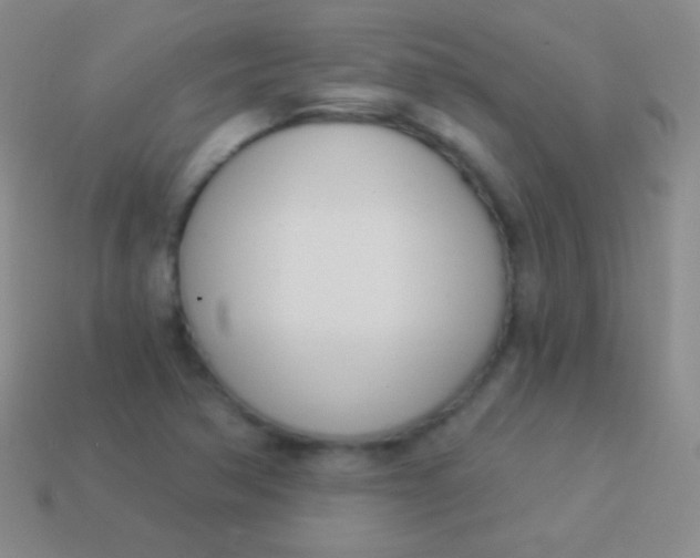 X0000114241362200910231515