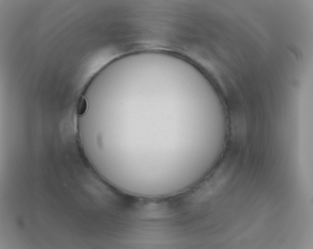 X0000114241365200910231515