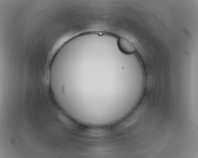 X0000114241366200910231515