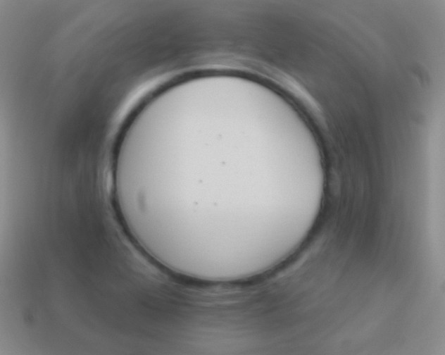 X0000114241368200910231515