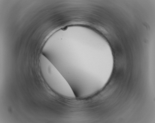 X0000114241369200910231515