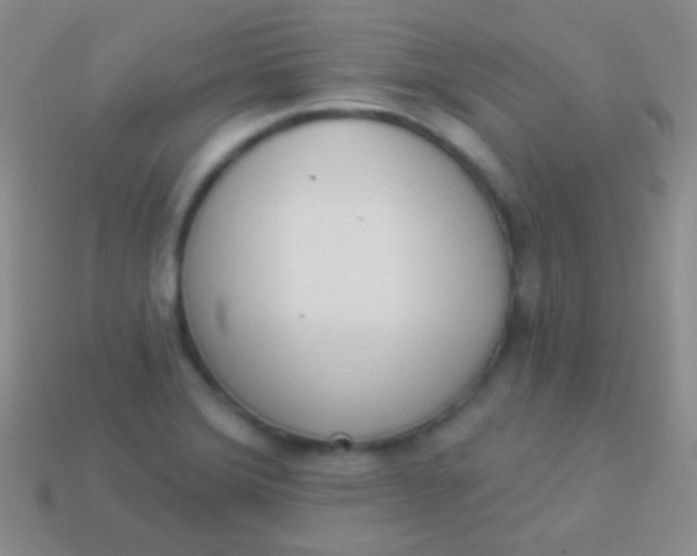 X0000114241372200910231515