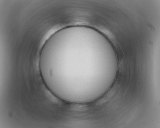 X0000114241374200910231515