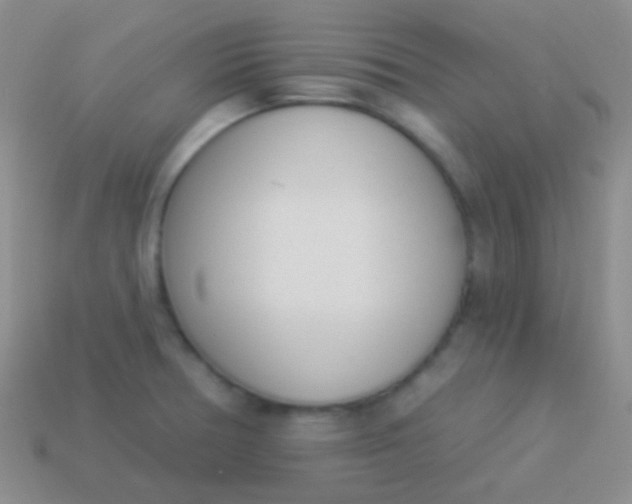 X0000114241378200910231515