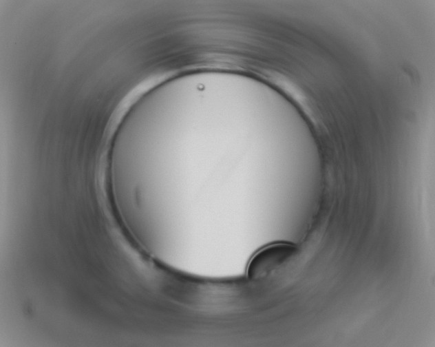 X0000114241379200910231515