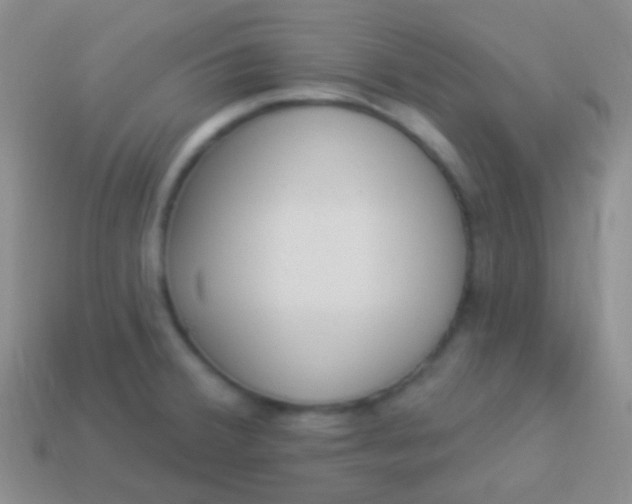 X0000114241380200910231515