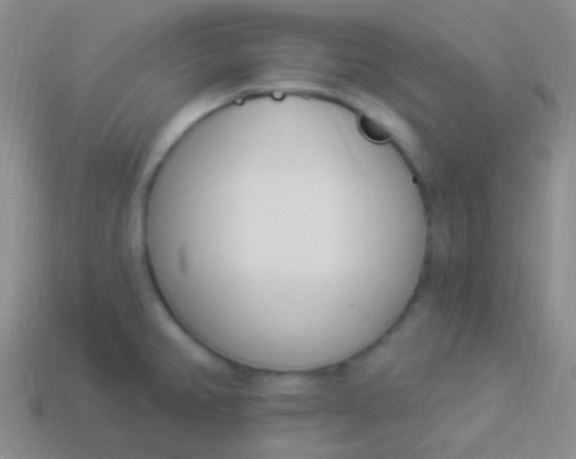 X0000114241382200910231515
