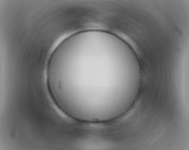 X0000114241383200910231515